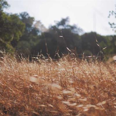 智能系统高精度全自动